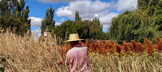 ¿Son importantes las iniciativas rurales sostenibles?