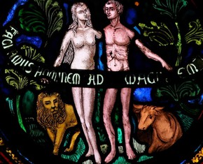 ¿Realmente Eva surgió de la costilla de Adán?