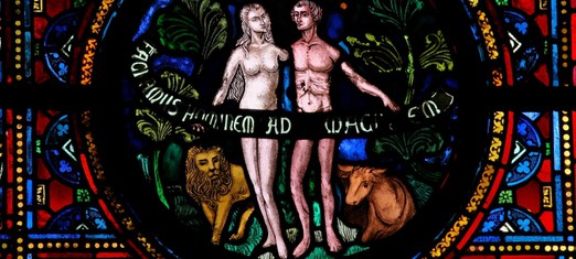 Did Eve Really Come from Adam’s Rib?