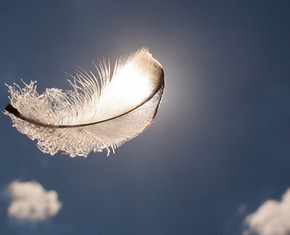 Do Angels Really Exist?