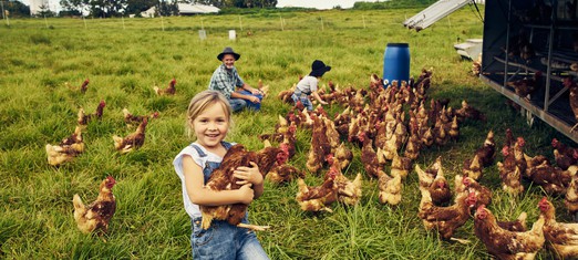 The Spiritual Imperative of Kindness to All Animals