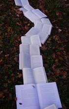 Dr. Anthony Lee and the Excavation of Buried Racial Narratives