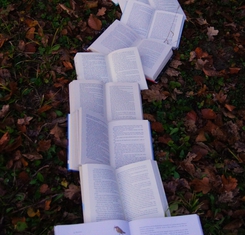 Dr. Anthony Lee and the Excavation of Buried Racial Narratives