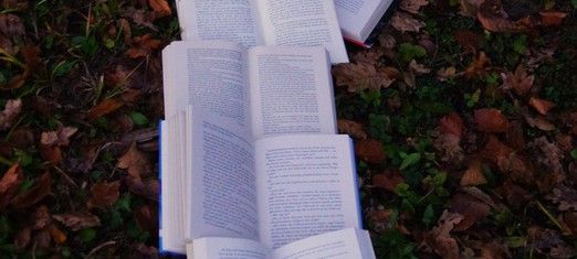 Dr. Anthony Lee and the Excavation of Buried Racial Narratives