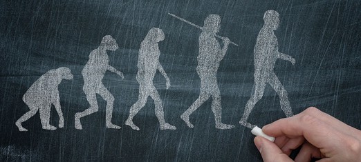 ¿Realmente somos descendientes de los monos?