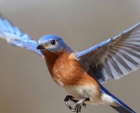 Gender Equality: A Spiritual Truth