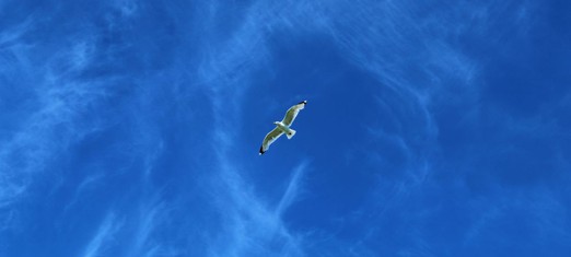 Baha’u’llah: the “Spirit of Truth” Promised by Jesus Christ