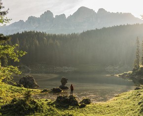 People, Like Trees, Need Light