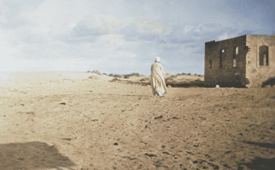 Transparency in Action: Walking the Path of Truth and Service