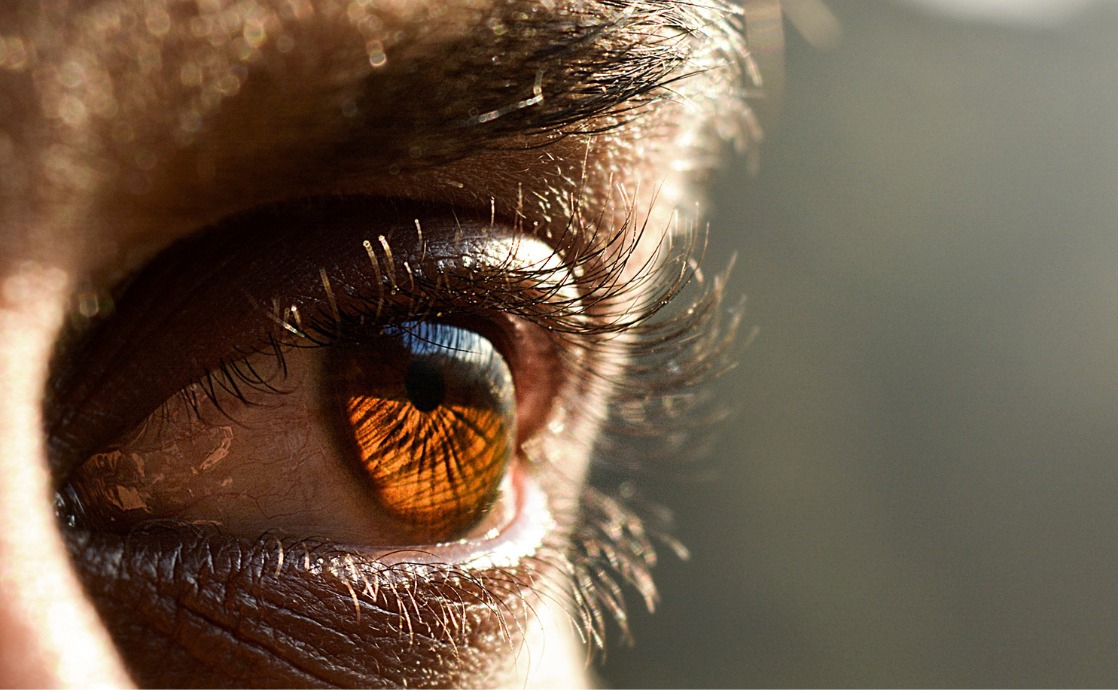 Ignoring the Faults of Others – and Finding Your Own