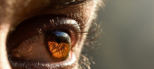 Ignoring the Faults of Others – and Finding Your Own