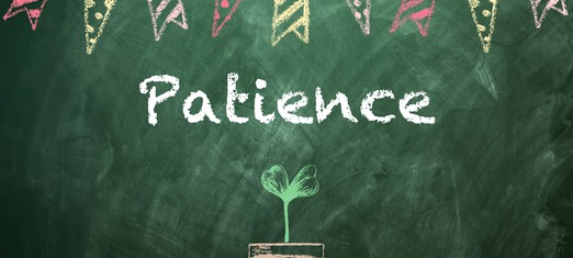 The Virtues Basket: How to Be More Patient