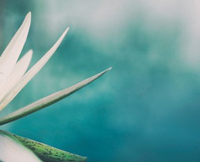 The Case for God and Creation