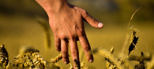 How Spiritual Principles Can Revolutionize the Food Economy