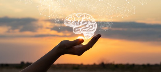 The Human Brain: Which Part Contains the Conscience?