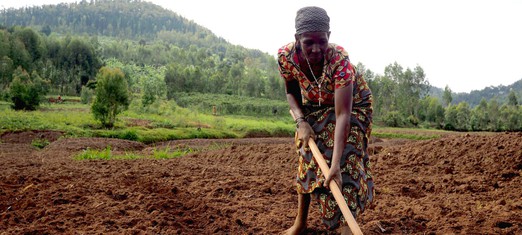 Agriculture: the Secret Ingredient to Global Peace and Prosperity