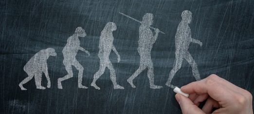 Understanding the Nature of Evolution Itself