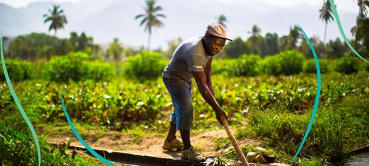 How Haitian Farmers Lead Revolutionary Change Inspired by Baha’i Ideals