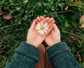 Baha’u’llah’s Triumph on the Twelfth Day of Ridvan