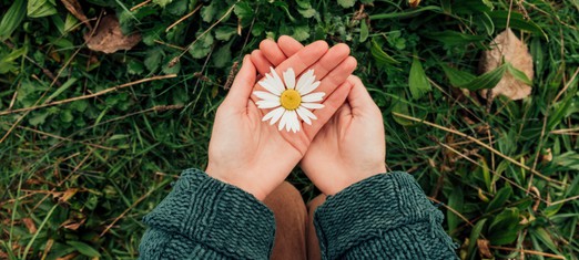 Baha’u’llah’s Triumph on the Twelfth Day of Ridvan