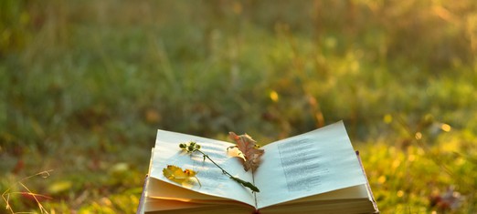 A Poem for the Pandemic