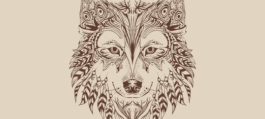 The Indigenous Teacher/Trickster Paradox