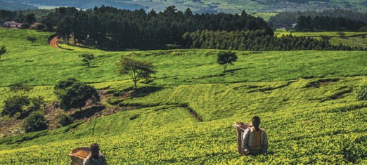 Redefining Progress and Rethinking Economic Arrangements