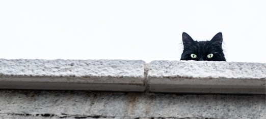 ¿Cómo nos afectan las supersticiones?