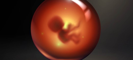 Could Humans Artificially Create a Living Being?