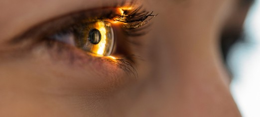 Are You Ready to Meet Your Maker?