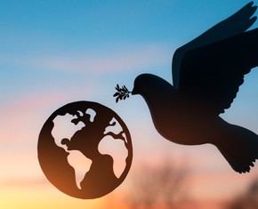 The Nine Year Plan: What Do Baha’is Want for the World?