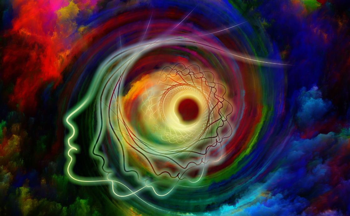 Do We Have Five Senses – Or Many More?