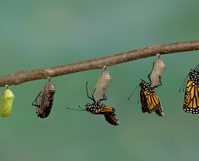 Do Humans Evolve Spiritually, Too?