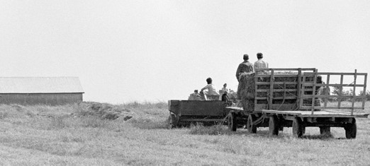 Memories of My Slave Grandfather