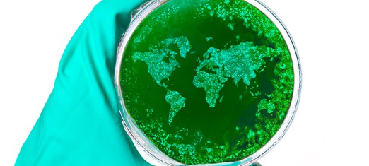 Flu, Ebola, Zika, SARS and HIV: Fighting Spillover