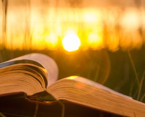 The Foundation of the Religions: One and the Same