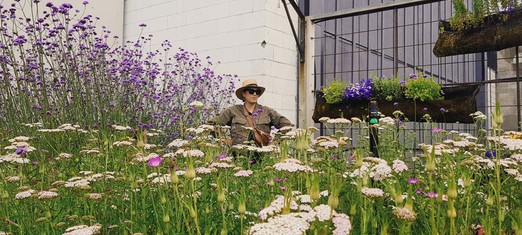 Growing Community Spirit in My Garden