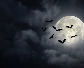 You’re Invited: A Halloween Chat on Evil — With Rainn Wilson