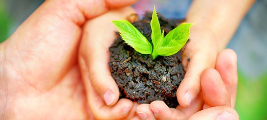 Has Humanity Matured Yet?