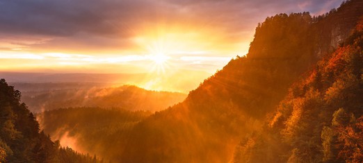 How a Divine Plan Moves the World