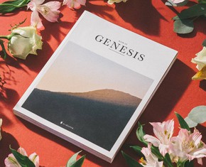 Cómo nos habla el Génesis actualmente