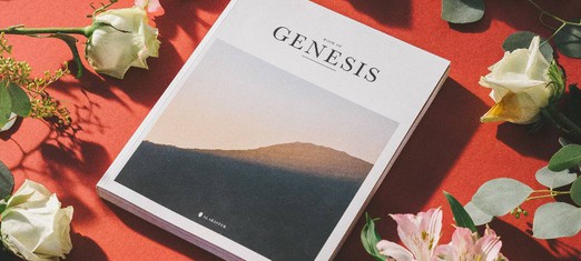 Cómo nos habla el Génesis actualmente