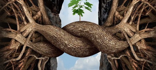 How to Promote Unity and Harmony in Society