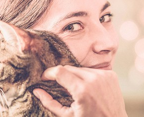 Learning Contentment from my Cats