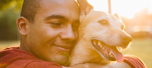 Learning the Lessons of Life from My Dog