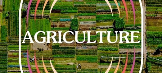 Agriculture’s Importance in Rebuilding Our World — with Roy Steiner