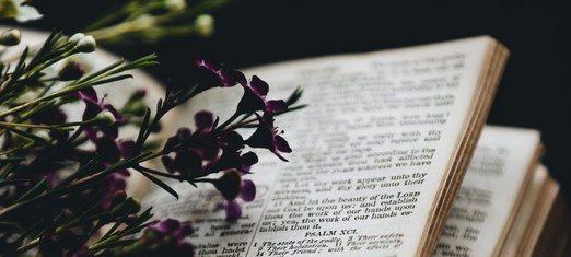 A New Understanding of the Perplexing Prophecies of Daniel