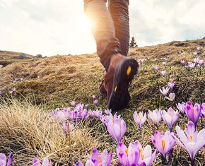 No One Knows When Their End Will Come