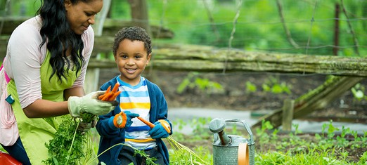 El día de la Tierra, todos somos jardineros
