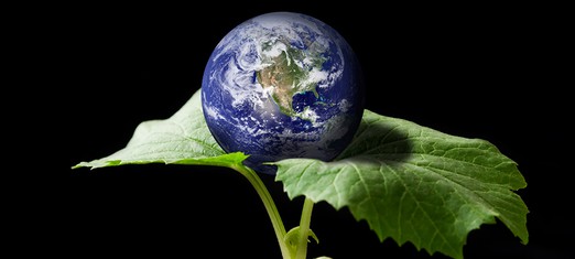 3 Principles for Creating a New World Order